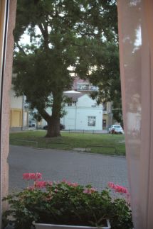 Szilfa apartman7