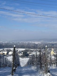 Kilátó Vendégház63