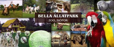 Holyday Relax Home35