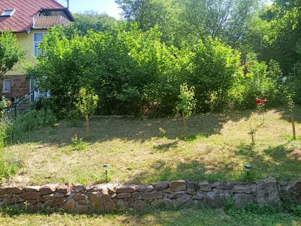 Éva Apartman9