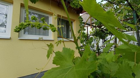 Lugas Apartman13