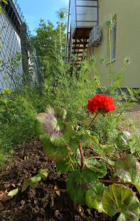 Lugas Apartman3