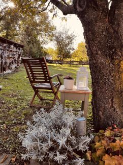 Regina Vendégház11