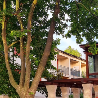 Patti Apartman