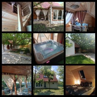 Eco-Wood Home21