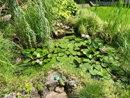 Siófok Aranypart - Beszédes József6