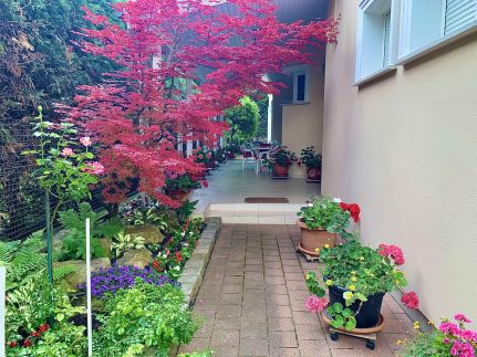 Siófok Aranypart - Beszédes József7