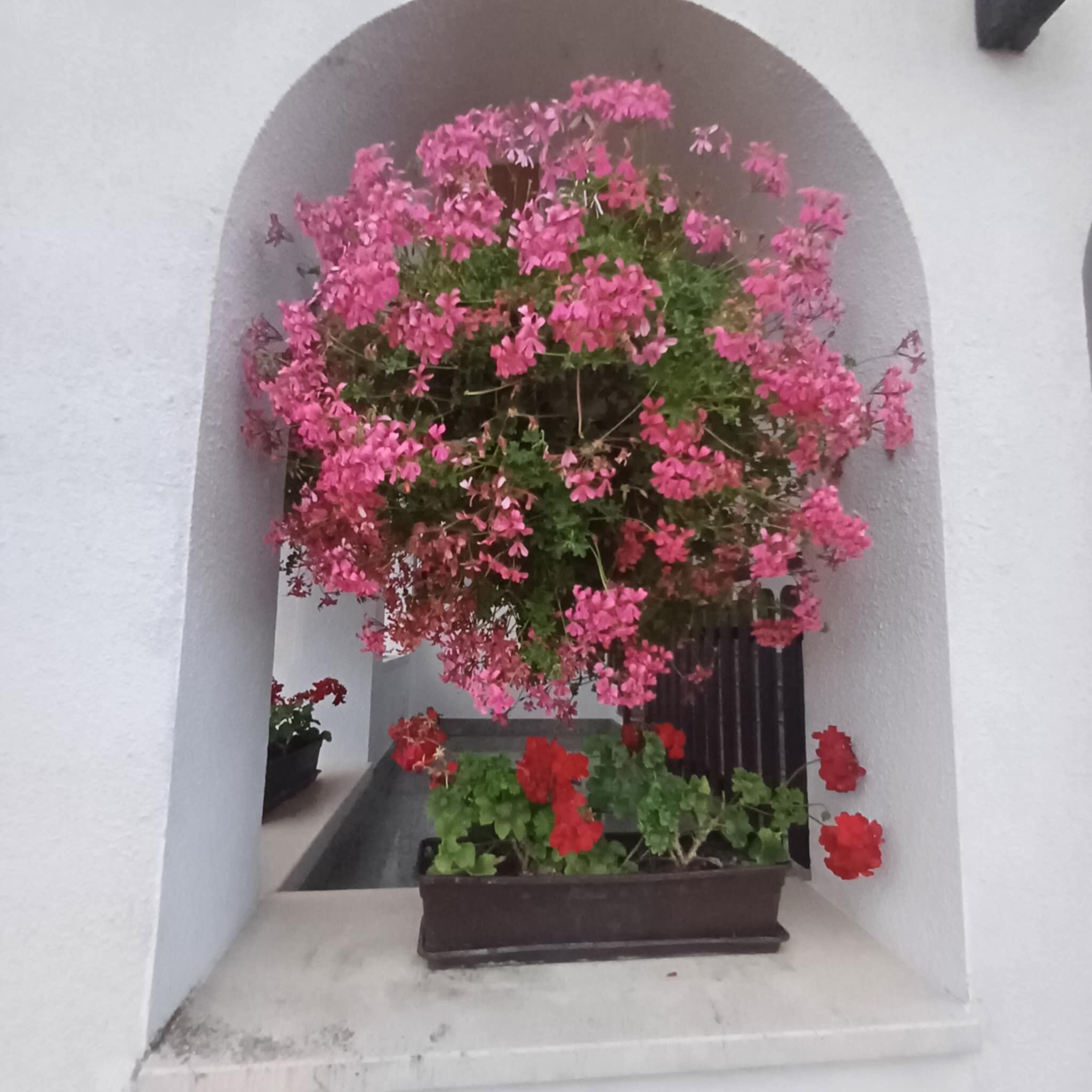 6Rooms Hévíz-Balaton Vendégház – Hévíz fotó 7