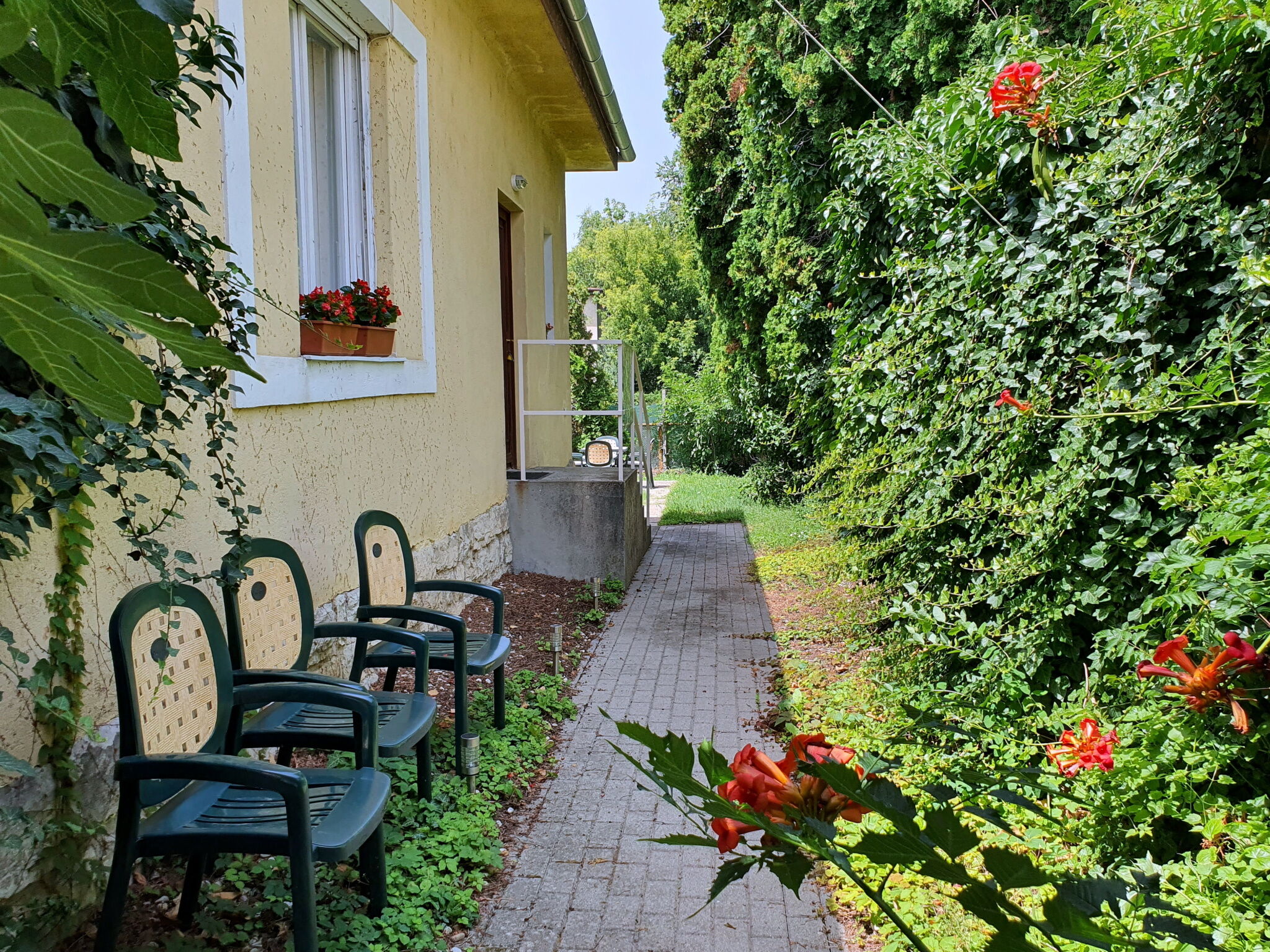Petilak Apartman – Balatonfüred fotó 2