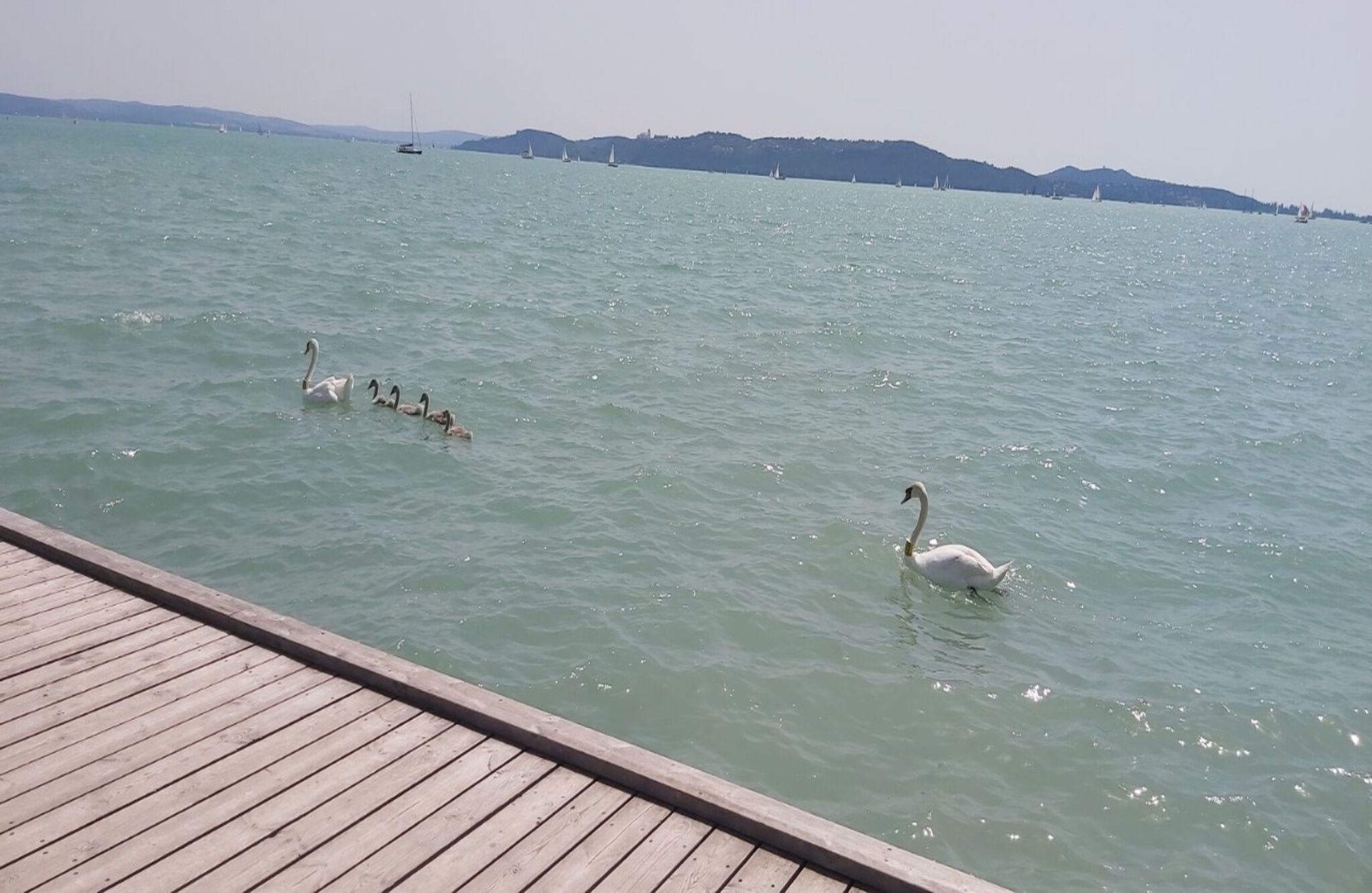 Aranyhíd Sétány Apartman – Balatonfüred fotó 8