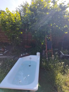 Zalán Vendégház13