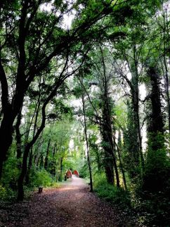 Lipót-Cottage Vendégház40