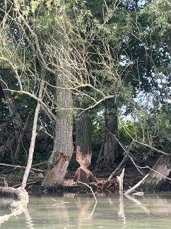 Lipót-Cottage Vendégház47