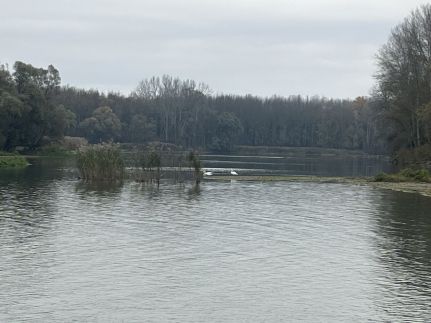 Lipót-Cottage Vendégház48