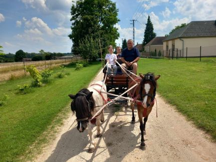 Póni Kuckó Vendégház és Minifarm23