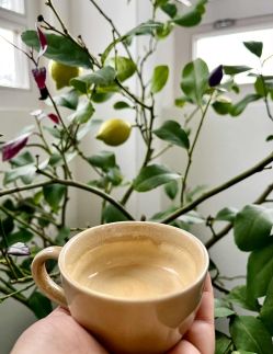 Baglyos Vendégház29