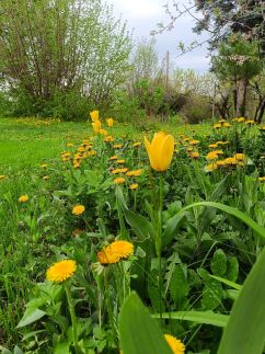 Baglyos Vendégház39