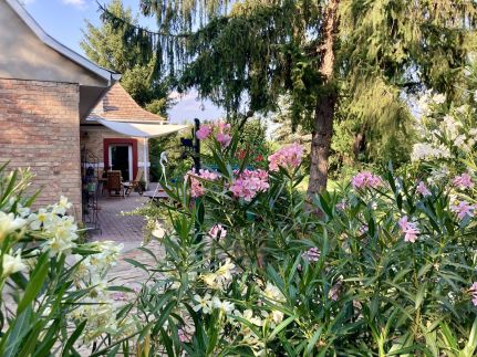 Baglyos Vendégház43