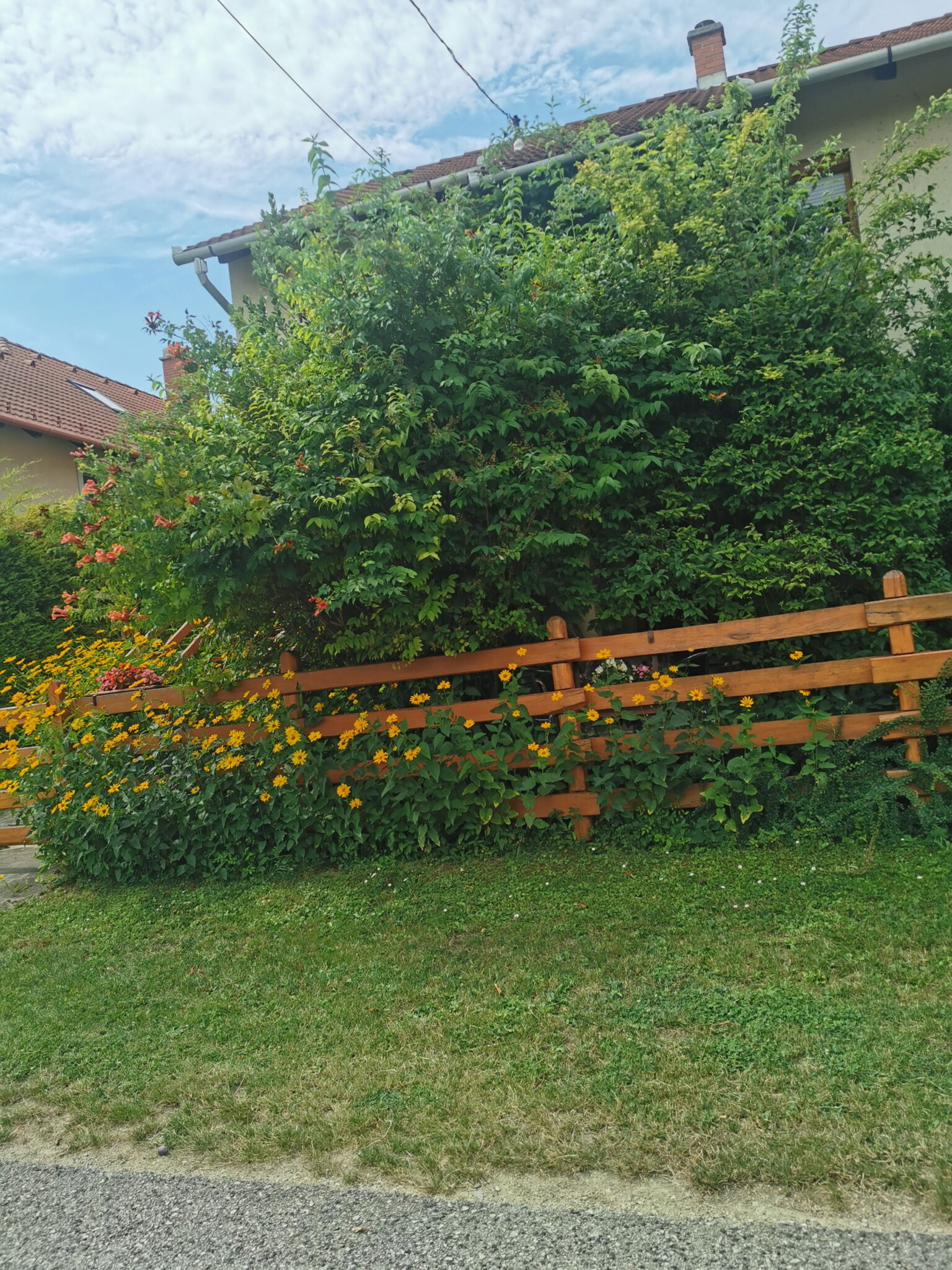 Balatoni Fészek Apartman – Balatonalmádi