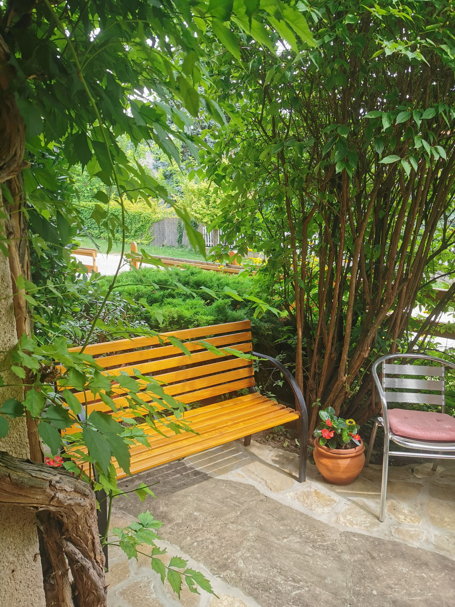 Balatoni Fészek Apartman – Balatonalmádi fotó 4