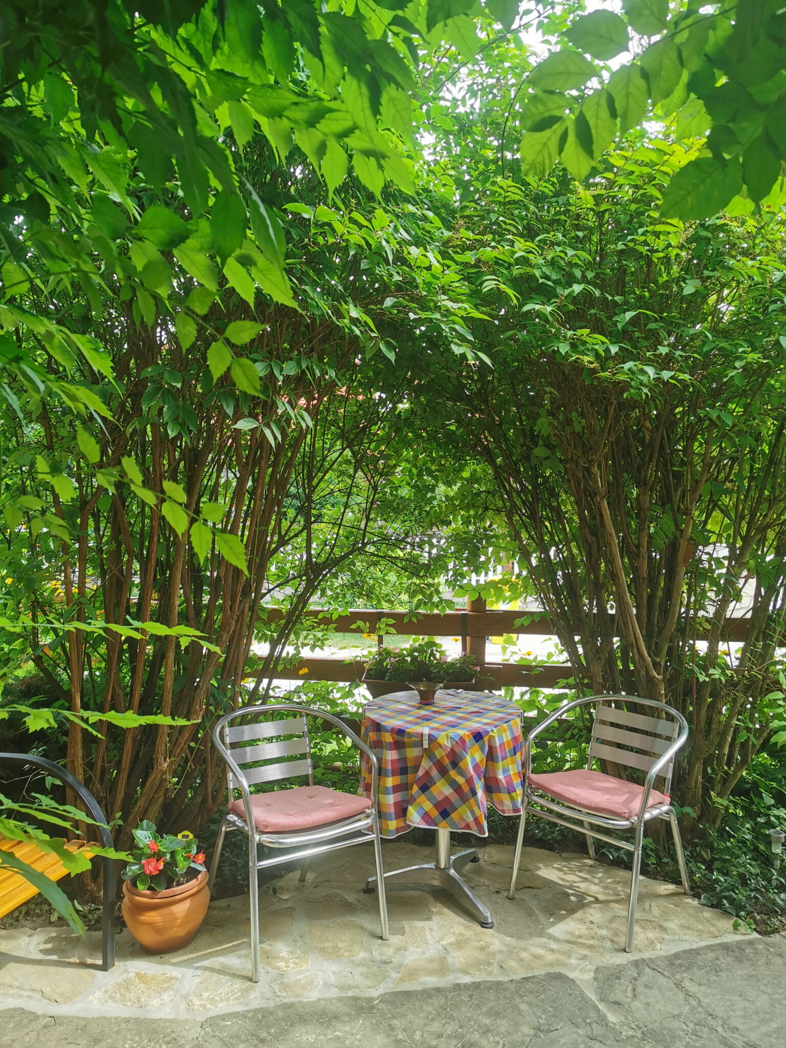 Balatoni Fészek Apartman – Balatonalmádi fotó 5