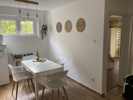 Mendelson Apartman6