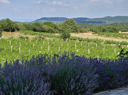 Panoráma Üdülőház Balatonudvari12