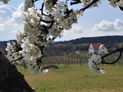 Panoráma Üdülőház Balatonudvari19