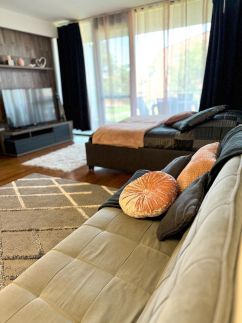 Art Apartman A209