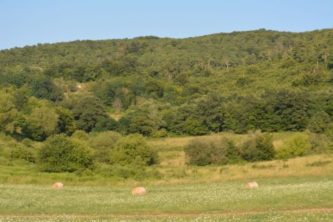 Bibe Vendégház13