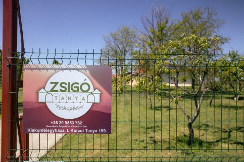 Zsigó Tanya15