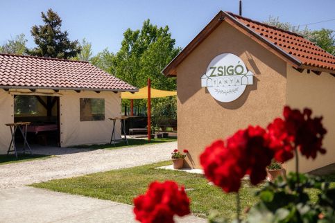 Zsigó Tanya6