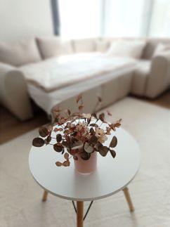 Modern Lux Home20