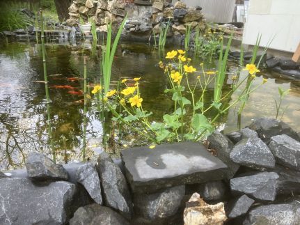 Relax Apartman108