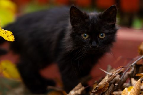 Tündérvölgy Vendégház22