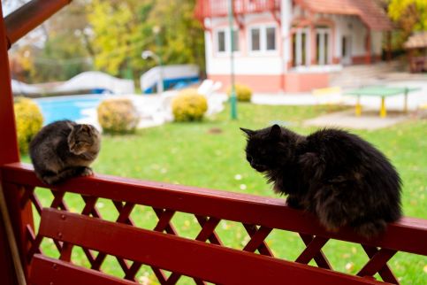 Tündérvölgy Vendégház27