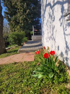 ApróLak Apartman29
