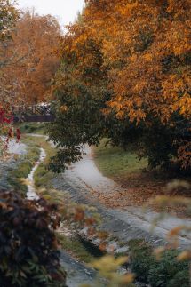 Öregvíz Vendégház72