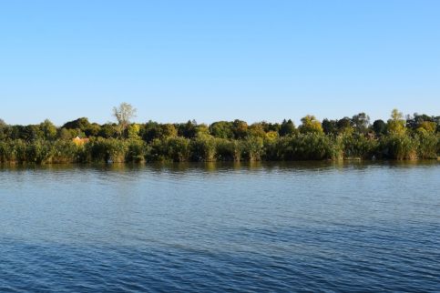 Tücsi Lak10