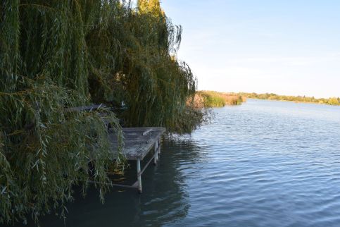Tücsi Lak6