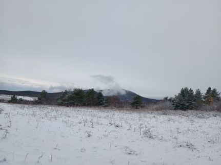 Levendula Magánszálláshely64