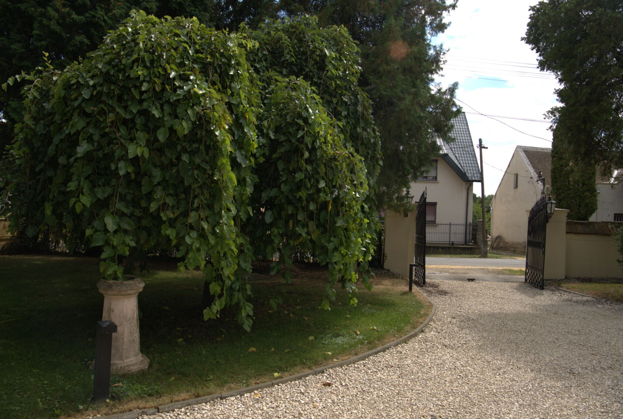 Kúria Apartman – Bük fotó 7