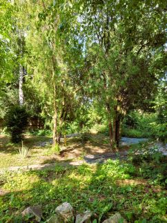 Bike&Night Apartman25