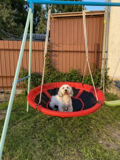 Patkó Vendégház18