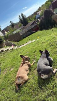 Patkó Vendégház19