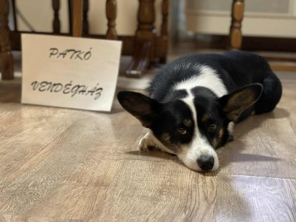 Patkó Vendégház22