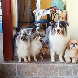 Patkó Vendégház25