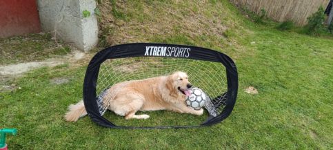 Patkó Vendégház26