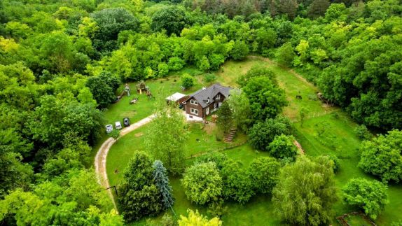 Cosy Forest House