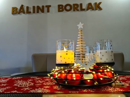 Bálint Borlak23